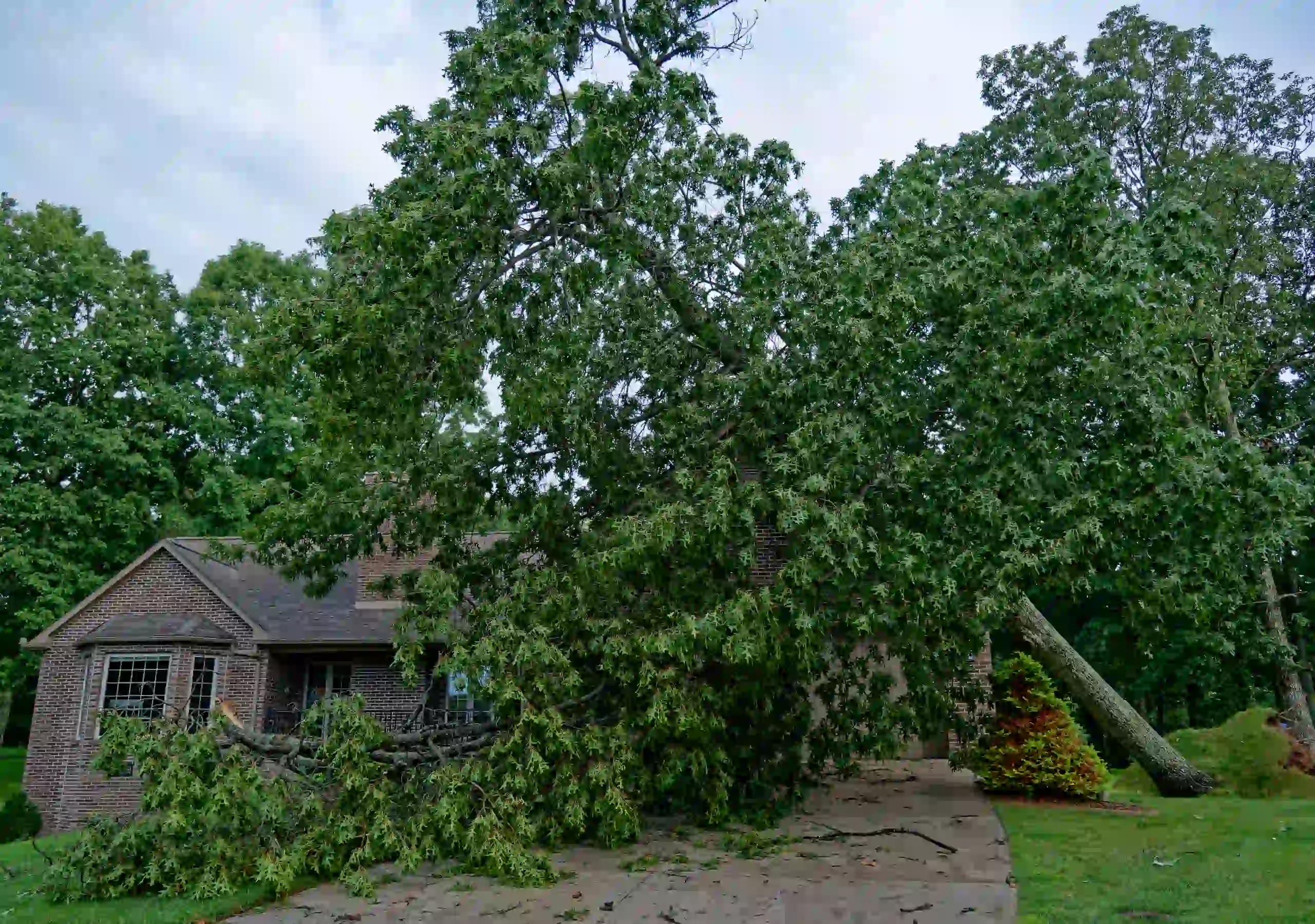 Emergency tree service removing fallen trees and storm damage safely in Ohio