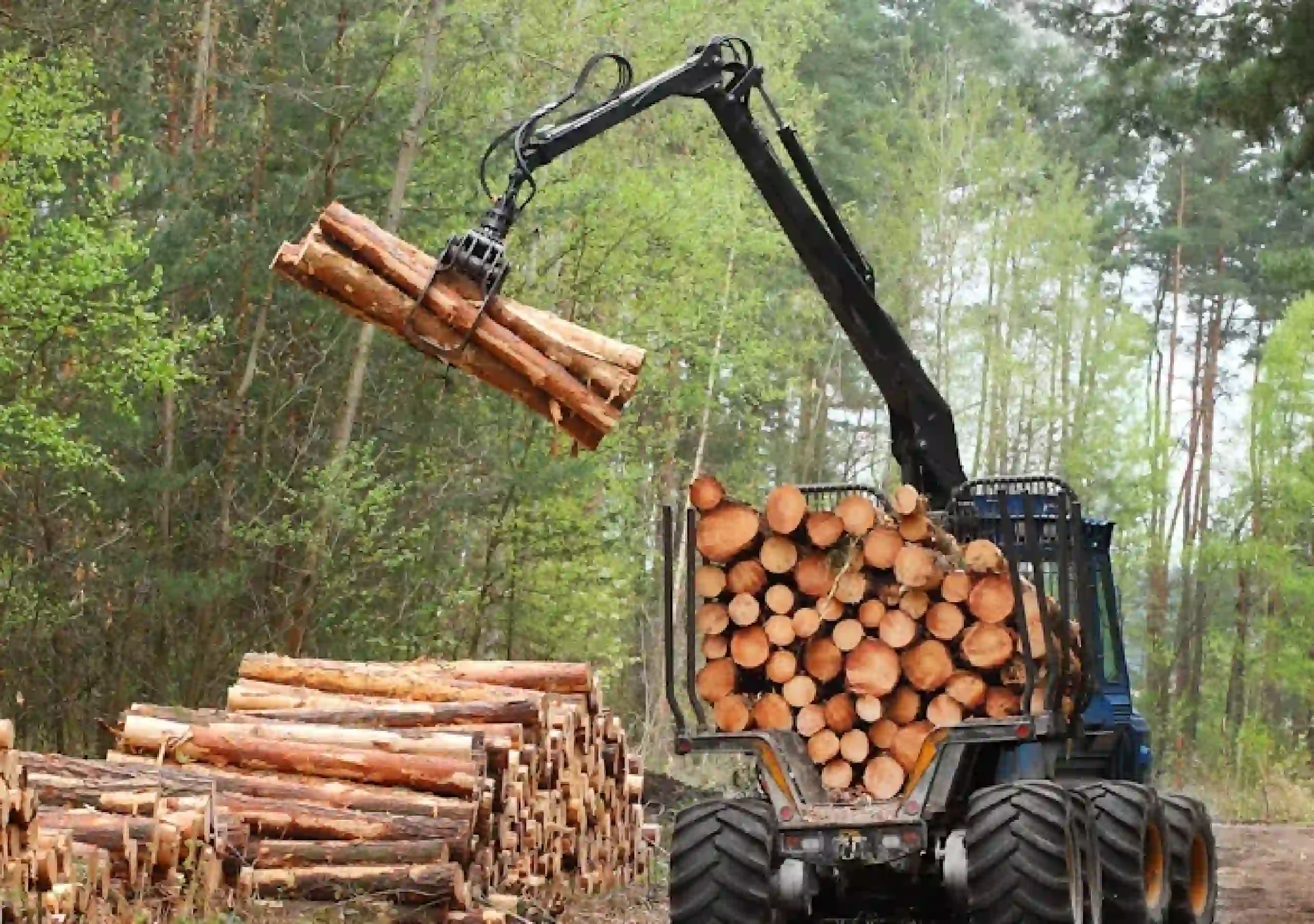 Land clearing service removing trees and overgrown brush for construction and landscaping in Ohio