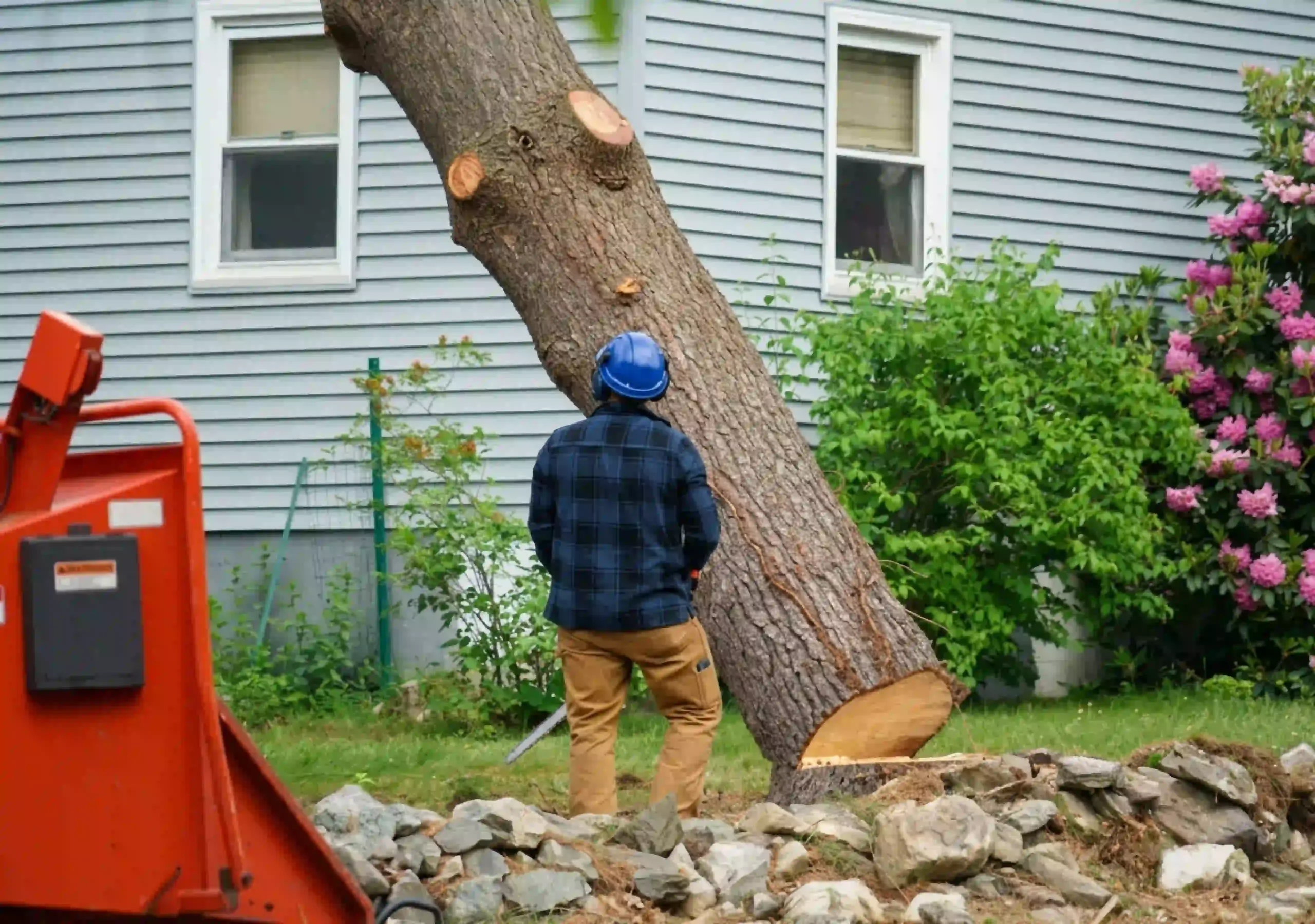 Tree removal crew safely cutting down large tree near residential home in Ohio