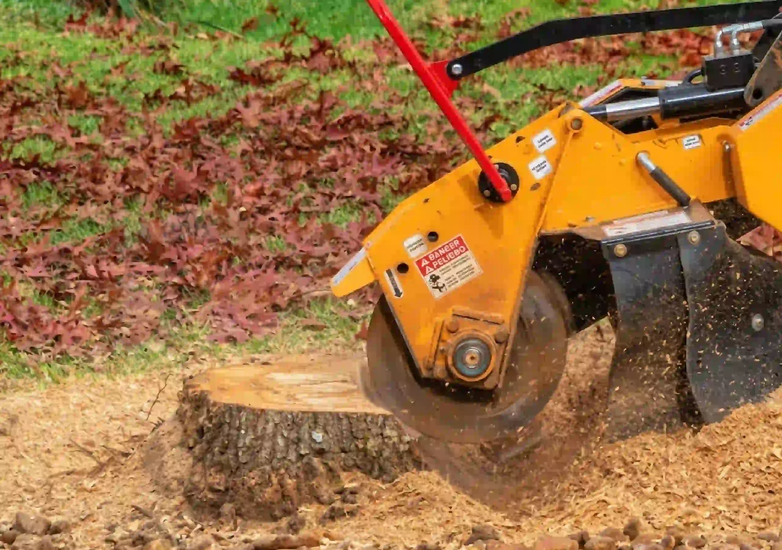 Professional stump grinding service removing tree stumps below ground level in Ohio yards