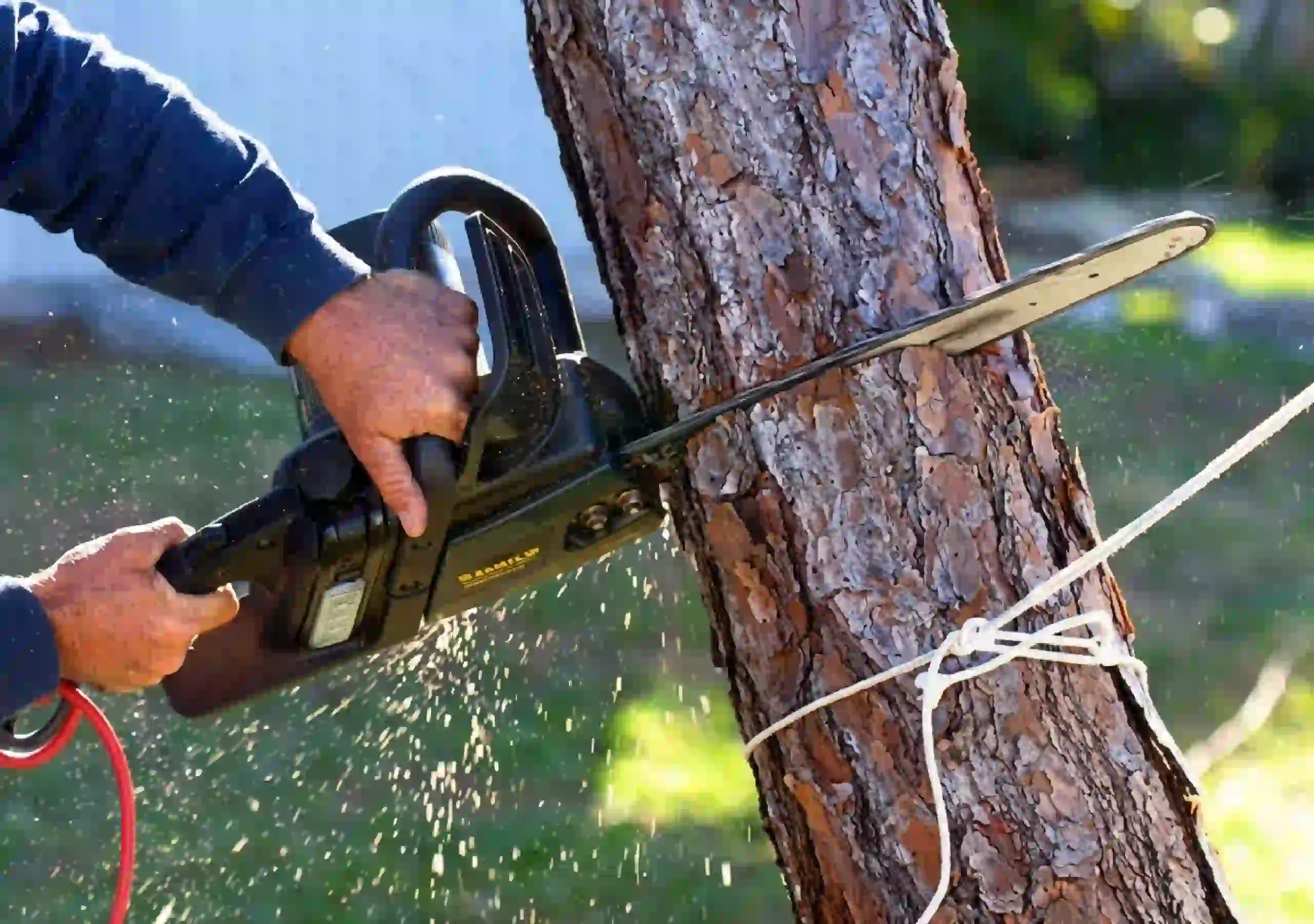 Experienced team performing safe tree removal near homes using professional equipment in Ohio